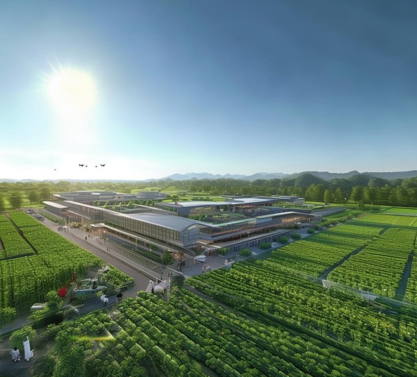 武汉三农科技开发区,助力乡村振兴的新引擎 武汉三农科技开发区,助力乡村振兴的新引擎