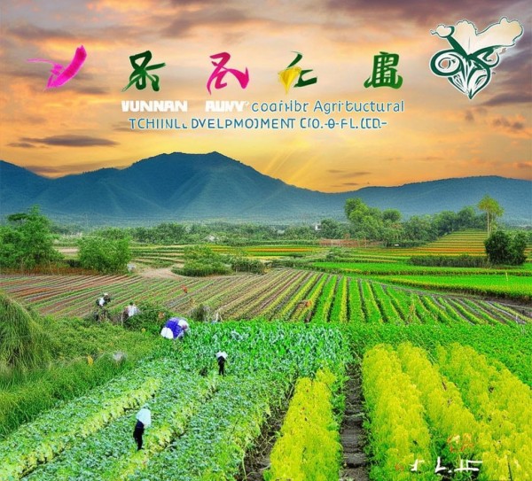 云南彩云边农业科技开发有限公司,发展绿色农业,助力乡村振兴